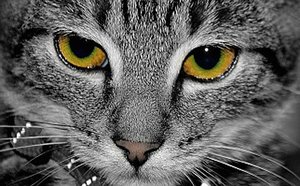 comp_Compressed_0004 Kopie.jpg