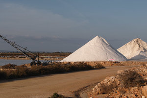 SDIM2518std Kopie.JPG