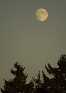 Mond 1verkleinert.jpg