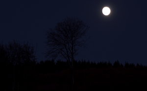 Mond3verkleinert.jpg