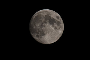 DSC_5913s.jpg DSC_5913s.jpg