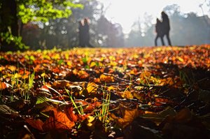 DSC_8394_ji_c.jpg DSC_8394_ji_c.jpg