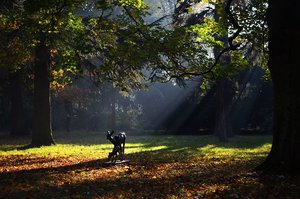 DSC_8398_ji_c.jpg DSC_8398_ji_c.jpg