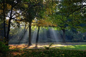 DSC_8410_ji_c.jpg DSC_8410_ji_c.jpg