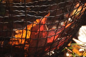 Herbstlaub 500 kbPiepmätze 016.jpg