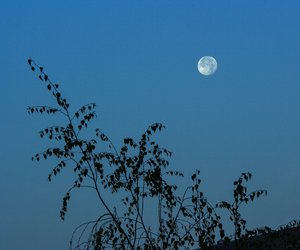 comp__MG_7337.jpg comp__MG_7337.jpg