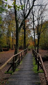 Brücke.jpg Brücke.jpg