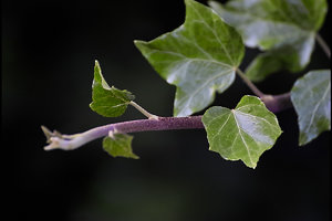 IMG19476.jpg IMG19476.jpg