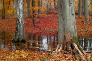 35er_Flekki_Bl22_120sec_SD15_0007_1M_5Y.jpg 35er_Flekki_Bl22_120sec_SD15_0007_1M_5Y.jpg