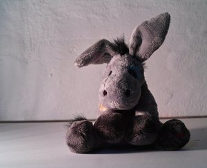 Mr-NB2.jpg Mr-NB2.jpg