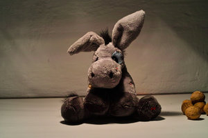 Mr-NB3.jpg Mr-NB3.jpg