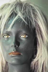 comp_IMG14066-2.jpg comp_IMG14066-2.jpg