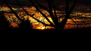 Sonnenuntergang verkleinert.jpg