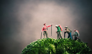 20121117-074-4 bearb..jpg 20121117-074-4 bearb..jpg