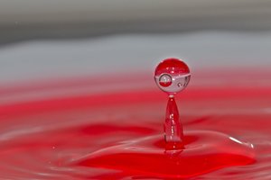 IMG_8831 - Arbeitskopie 3.jpg