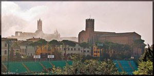 Sample 31.jpg Sample 31.jpg