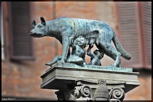 Sample 15.jpg Sample 15.jpg