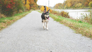 8208071697_fa93938b92_z1.jpg 8208071697_fa93938b92_z1.jpg