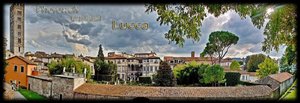 Lucca-HG.jpg