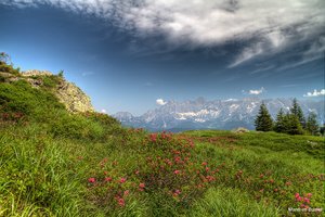 comp_Dachstein 0_jpg.jpg