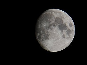 mond2.JPG mond2.JPG