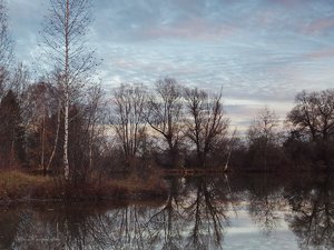 2012-11-26 NotzingerWeiher 164r.jpg