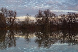 2012-11-26 NotzingerWeiher 149r.jpg