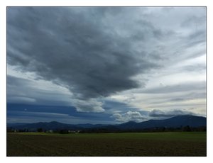 novembermittag 287.jpg