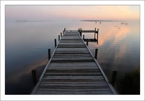 comp_SD15_SDI4177LB VB.jpg