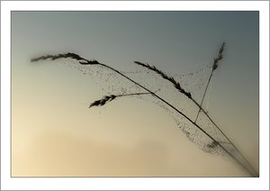 comp_SD15_SDI4240B LB VB.jpg