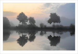 comp_SD15_SDI4431 LB.jpg