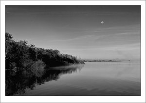 comp_SD15_SDI4249SW LB.jpg