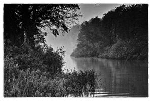 comp_SD15_SDI4461 SW.jpg