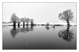 biotop 379sw.jpg biotop 379sw.jpg