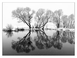 biotop 383sw2.jpg biotop 383sw2.jpg