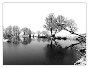 biotop 391sw.jpg biotop 391sw.jpg