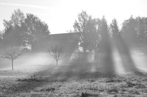 DSC_4398_copy B&W.jpg