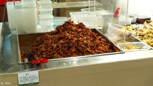 500k_P1040883.jpg 500k_P1040883.jpg