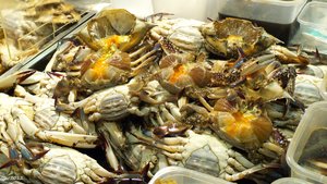 500k_P1040884.jpg 500k_P1040884.jpg