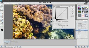 500k_2012-12-11_182116.jpg 500k_2012-12-11_182116.jpg