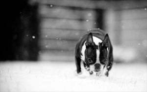 20121212-007-7 bearb..jpg