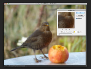pixelbild-mosaik2.jpg pixelbild-mosaik2.jpg