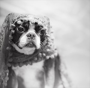 20121215-011-4 bearb..jpg