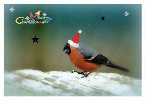 Compressed_0040 1.jpg