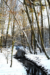 3SC_0007.JPG 3SC_0007.JPG