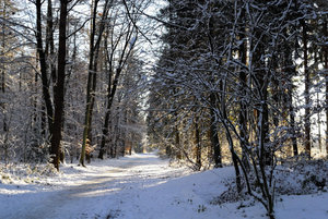 3SC_0009.JPG 3SC_0009.JPG