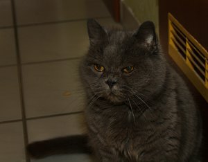 cshila groß (3 von 1).jpg