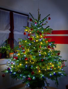 Weihnachtsbaum HDR verkleinert.jpg