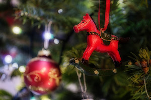 Detailaufnahmen Baum_0017_Klein.jpg