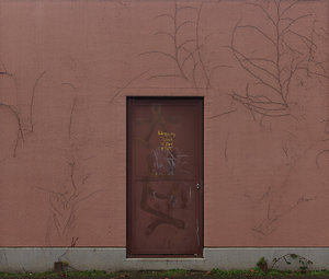 Tür in Farbe skaliert.jpg